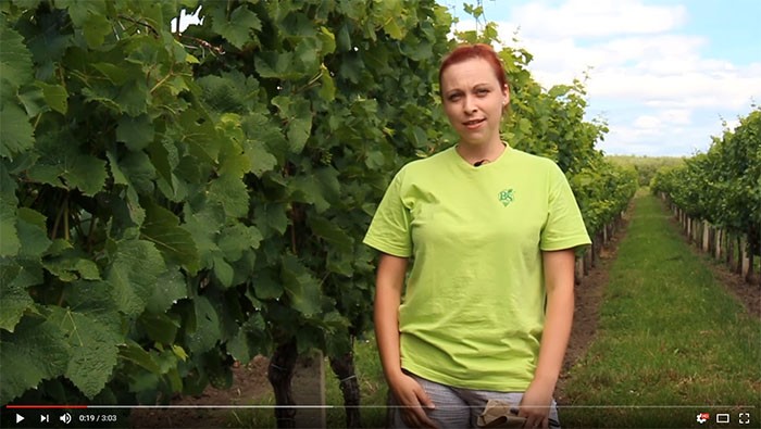 BS video: Analýza listů révy vinné - BS vinařské potřeby