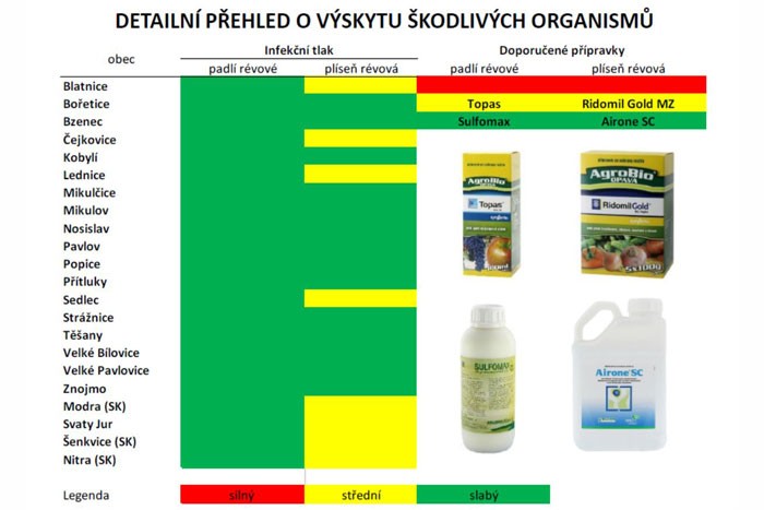 Ochrana révy vinné v 22. týdnu - BS vinařské potřeby