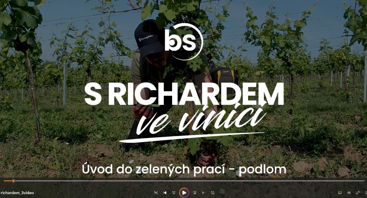 S Richardem ve vinici: podlom