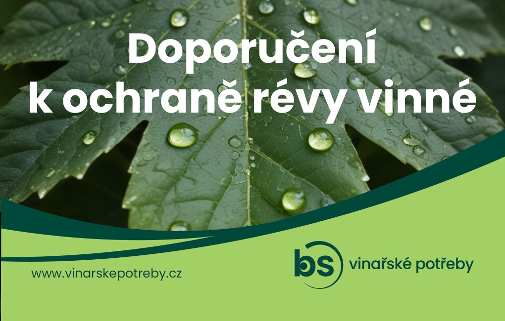 Ochrana révy vinné 30. týden