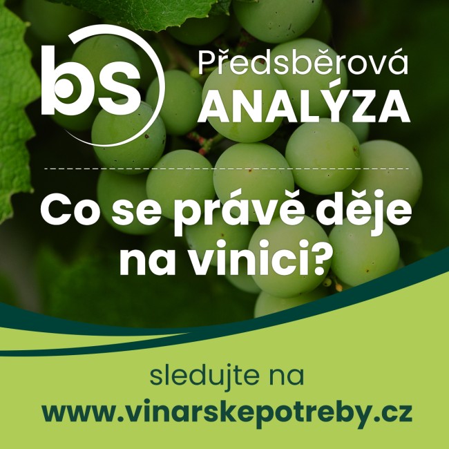 Předsběrová analýza 2026