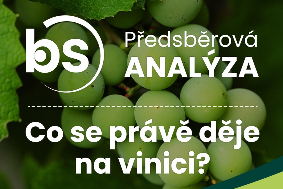Předsběrová analýza 35. týden 2026