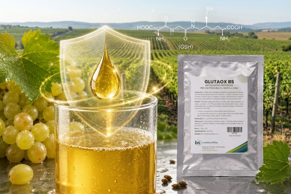 Vinaři potvrzují: GLUTAOX BS drží aroma i svěžest moštu na maximum