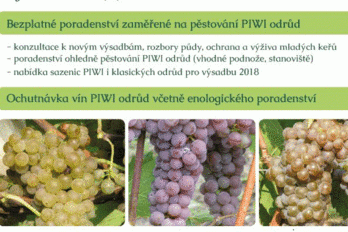 PIWI ODRŮDY konzultace a ochutnávka vín 30. 8. 2017 - BS vinařské potřeby