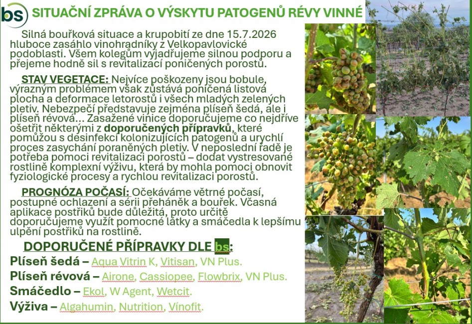 Ochrana révy vinné - MIMOŘÁDNÉ VYDÁNÍ