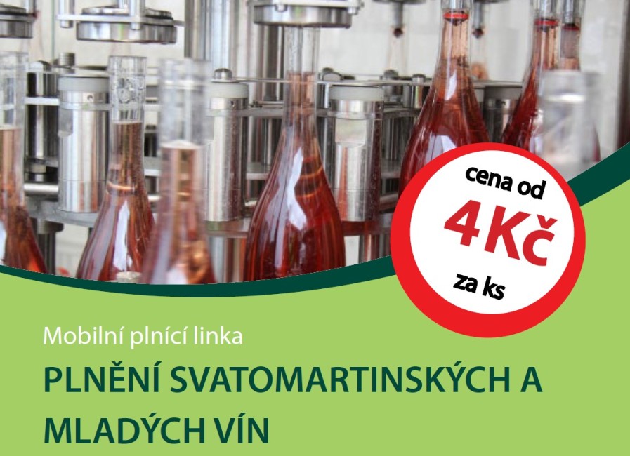 Plnění Svatomartinských a mladých vín