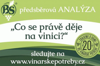 Předsběrová analýza 38. týden - BS vinařské potřeby