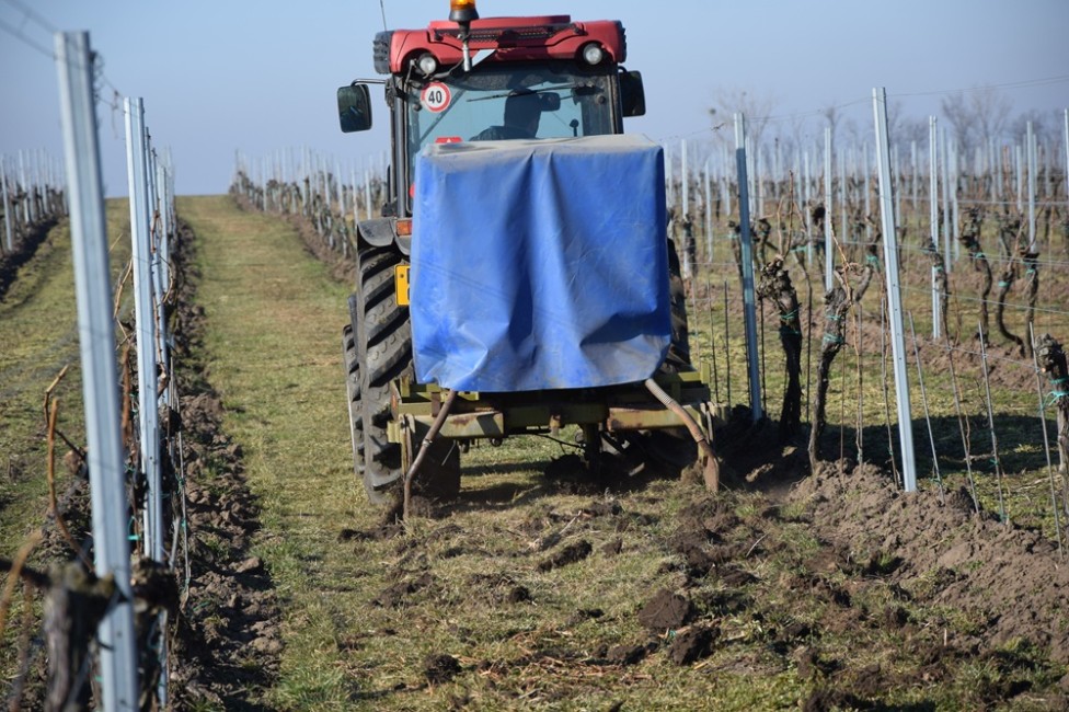 Leonardit ve vinici pomáhá