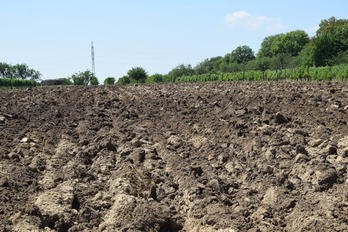 Způsob zpracování půdy - příprava půdy před výsadbou - BS vinařské potřeby