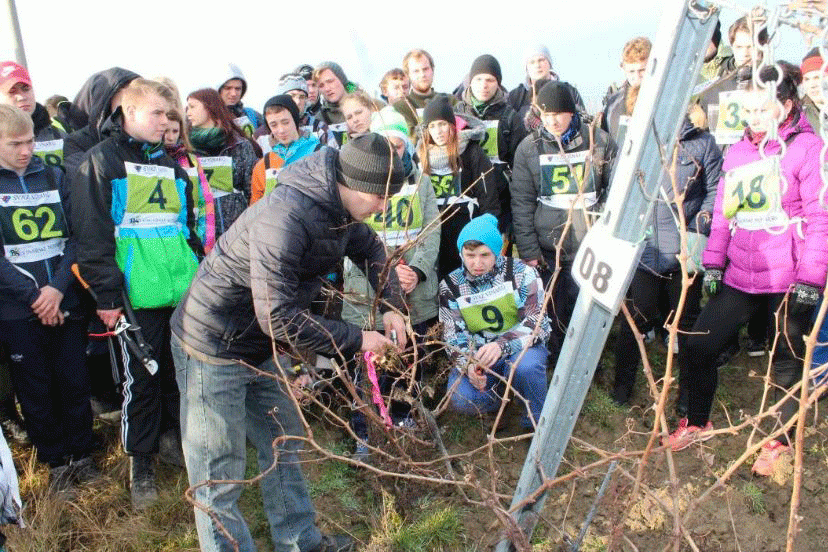 Školní kolo soutěže v řezu révy vinné - BS vinařské potřeby