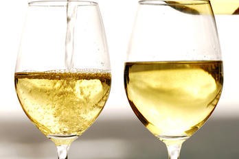 Jak předpovědět míru nestability bílkovin - BS vinařské potřeby