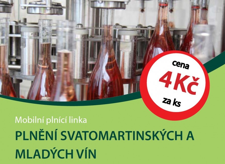 Plnění Svatomartinských a mladých vín