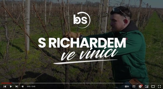 BS video: s Richardem ve vinici