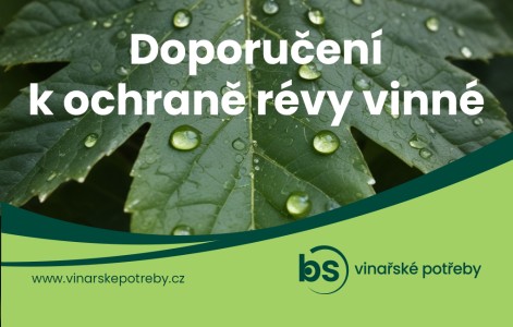 Ochrana révy vinné 34. týden