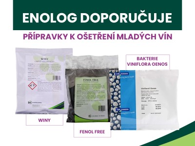 Enolog doporučuje přípravky k ošetření mladých vín