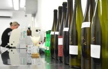 Laboratoř Znojmo - změna otevírací doby