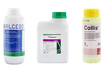 Novinky v přípravcích na ochranu rostlin