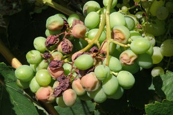 Zvýšené riziko slunečního úžehu