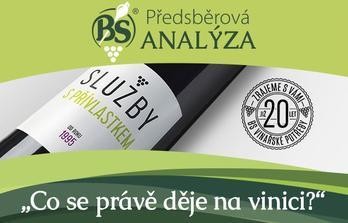 BS předsběrová analýza 32. týden