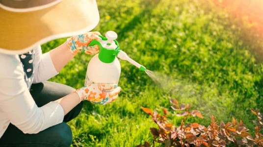 Jak se vyznat v pesticidech?