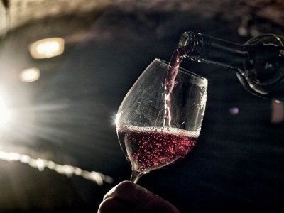 TANIN – přidaná hodnota pro vaše víno