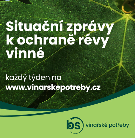 Ochrana révy vinné