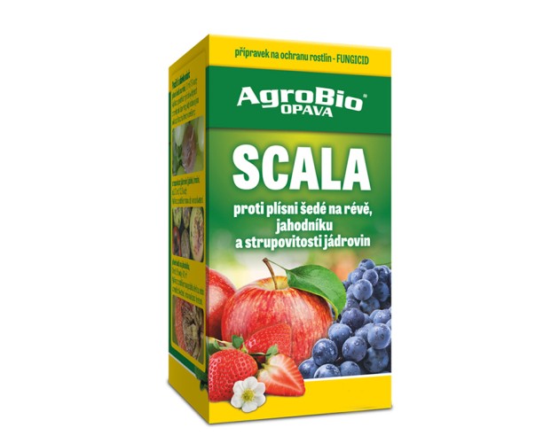 SCALA 10 ml