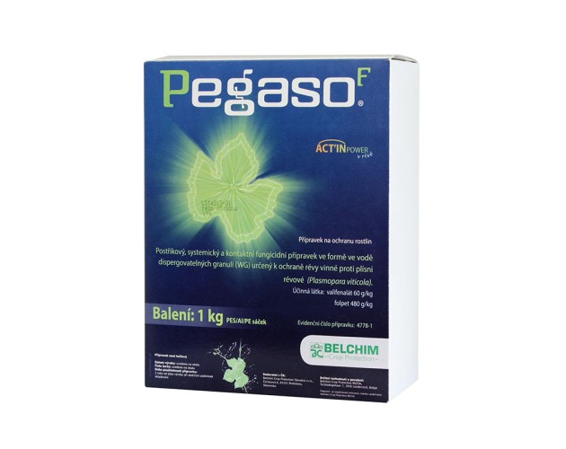 PEGASO F 1 kg
