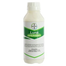 LUNA EXPERIENCE 1 l