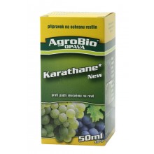 KARATHANE NEW 50 ml