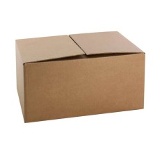 Karton na 6 lahví naležato EX 25 ks/1100 ks