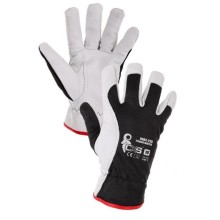 Rukavice TECHNIK WINTER - zimní, vel. 10