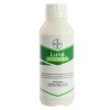 LUNA EXPERIENCE 1 l
