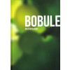 Kniha BOBULE