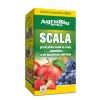 SCALA 50 ml